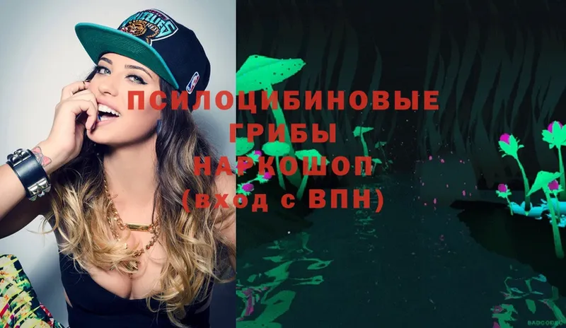 OMG онион  Вологда  Псилоцибиновые грибы Magic Shrooms 